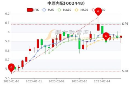 中原内配股票,揭秘汽车零部件行业的领军者