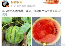 八卦吃瓜娱乐大瓜,揭秘娱乐圈那些鲜为人知的“大瓜”故事