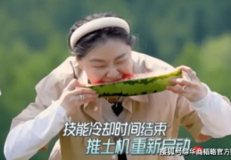 娱乐吃瓜地背后是谁,是谁在操控娱乐圈风云?