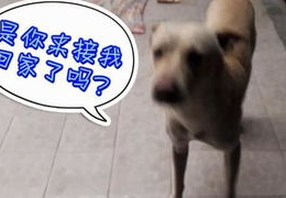 每天看娱乐吃瓜的说说,跟随“每天看娱乐吃瓜”的视角，探寻热点背后的故事